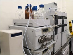 HPLC